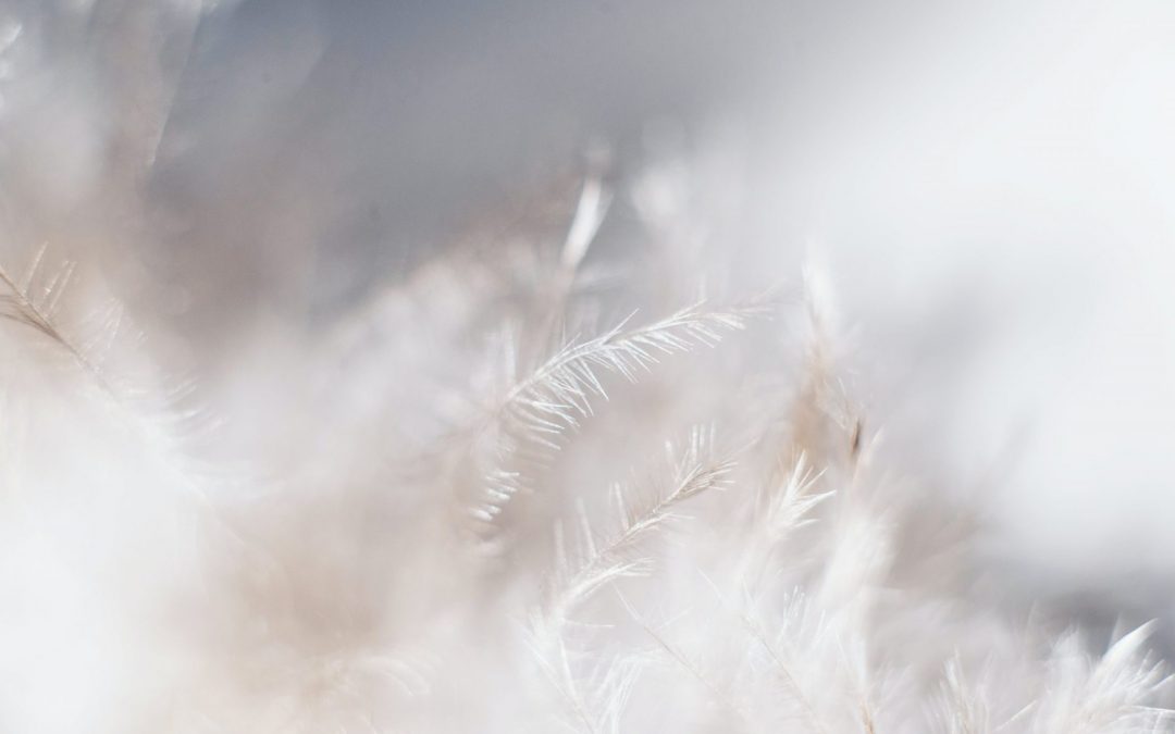 Message et soin des Anges pour ce vivre ce changement de cycle